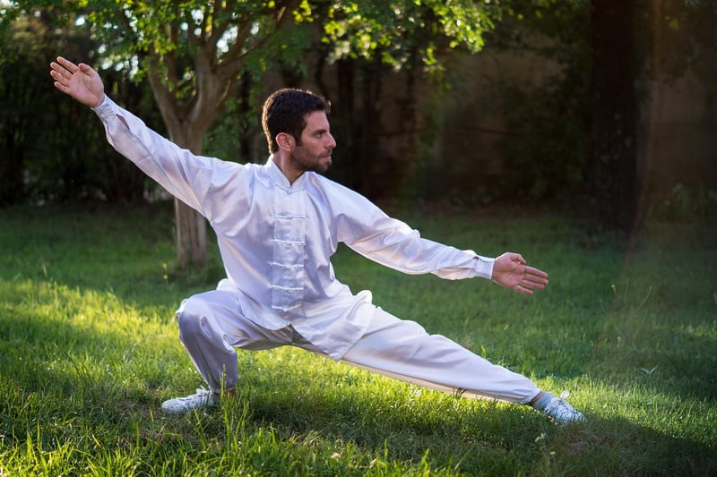 Tai Chi Sun Style